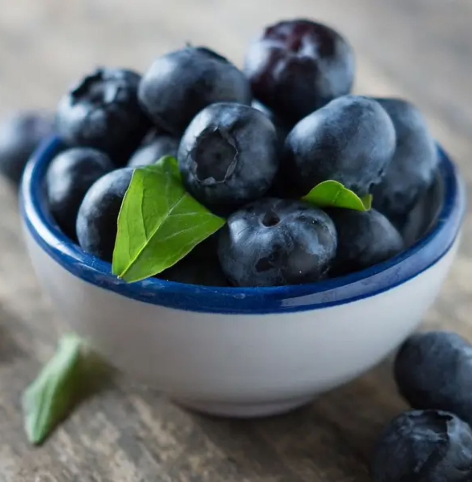 Dry Blackberries in Trichy | Sivagire Traders