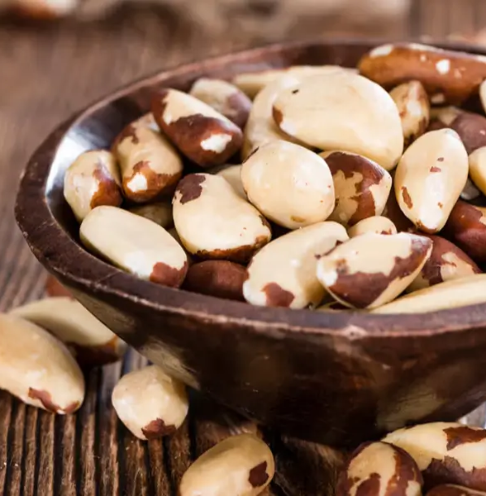 Dry Brazil-Nuts in Trichy | Sivagire Traders