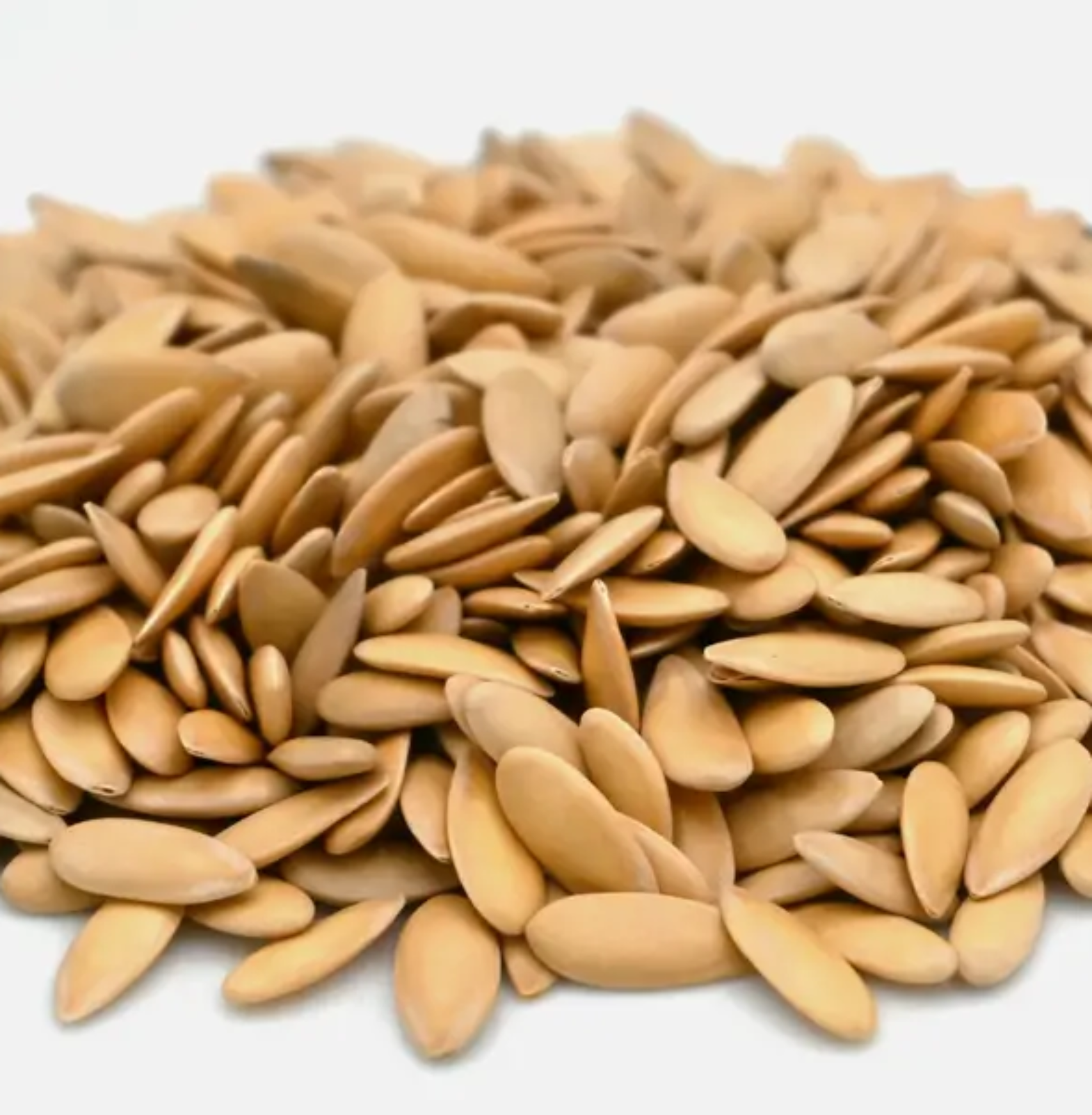 Dry Cantaloupe-Seeds in Trichy | Sivagire Traders