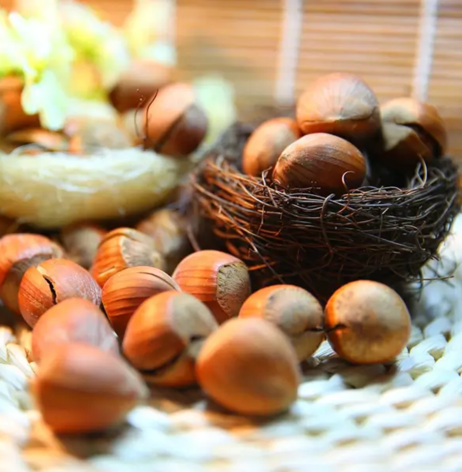 Hazelnuts in Trichy | Sivagire Traders