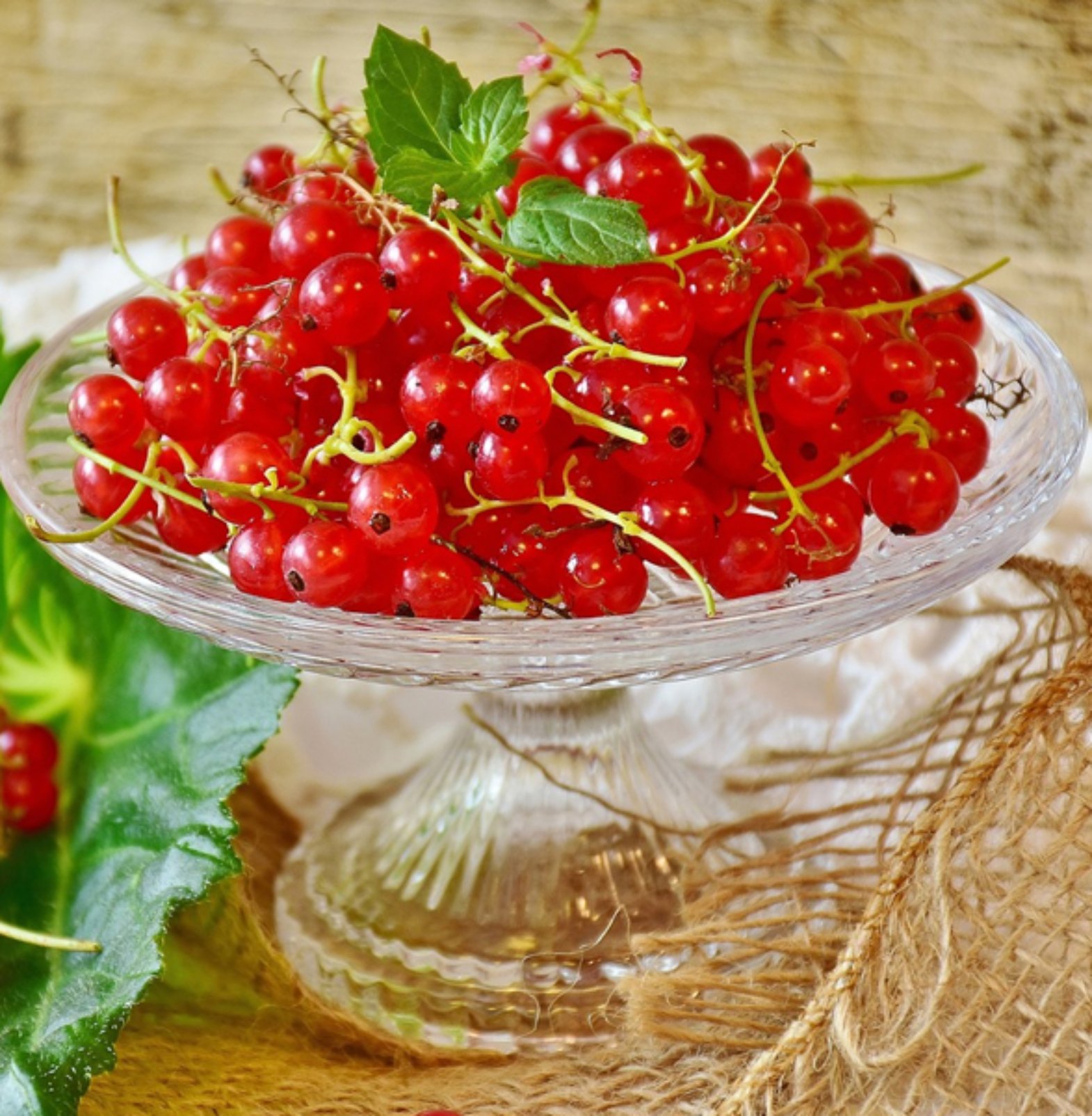 Dry Red-Currants in Trichy | Sivagire Traders