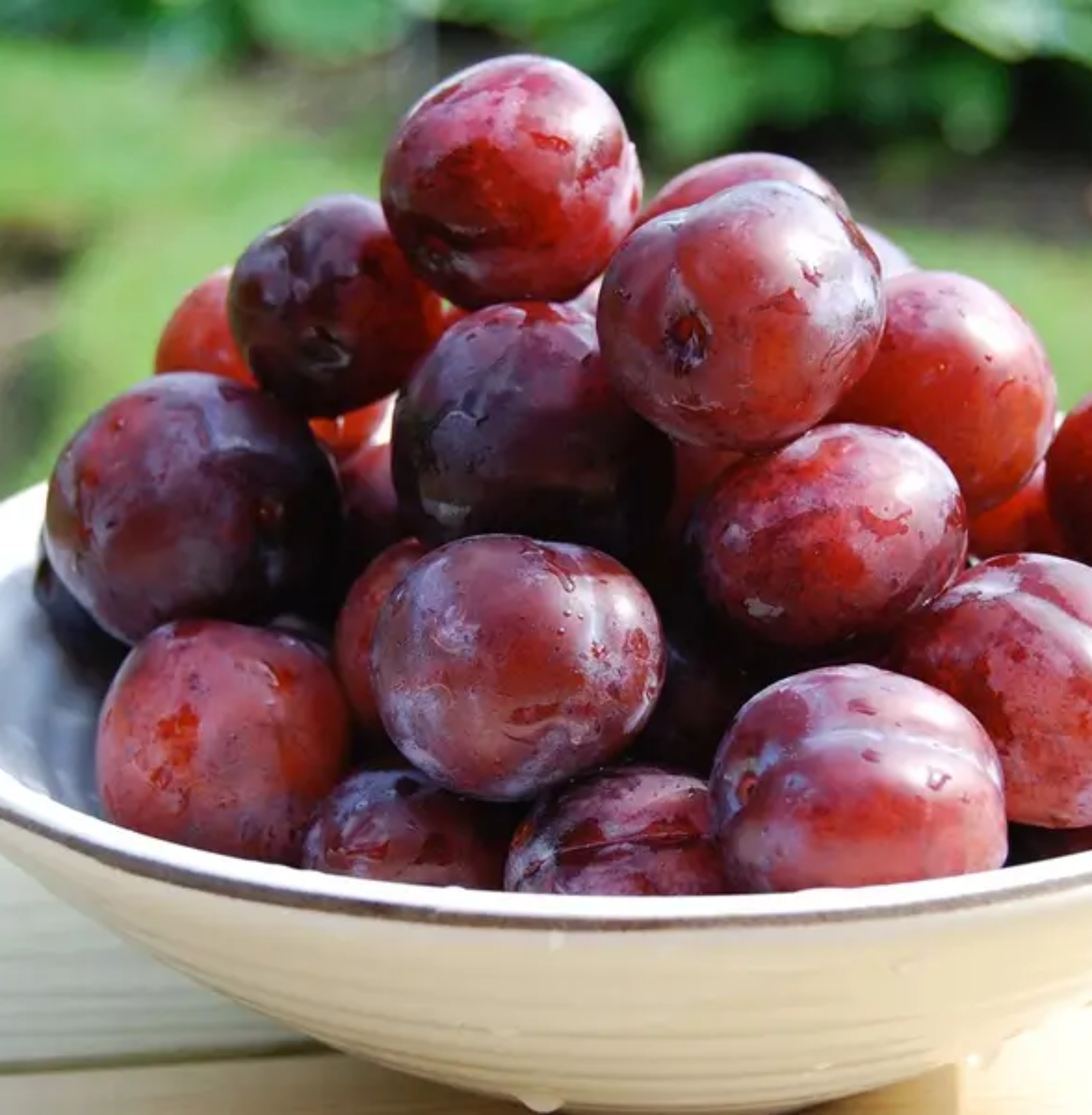 Dry Red-Plums in Trichy | Sivagire Traders