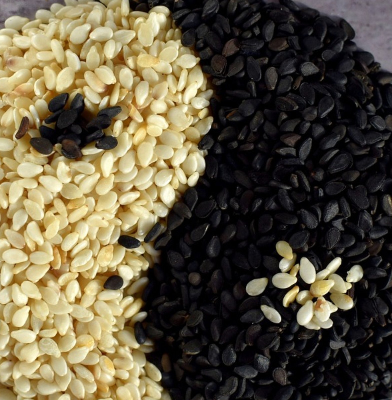 Sesame Seeds in Trichy | Sivagire Traders